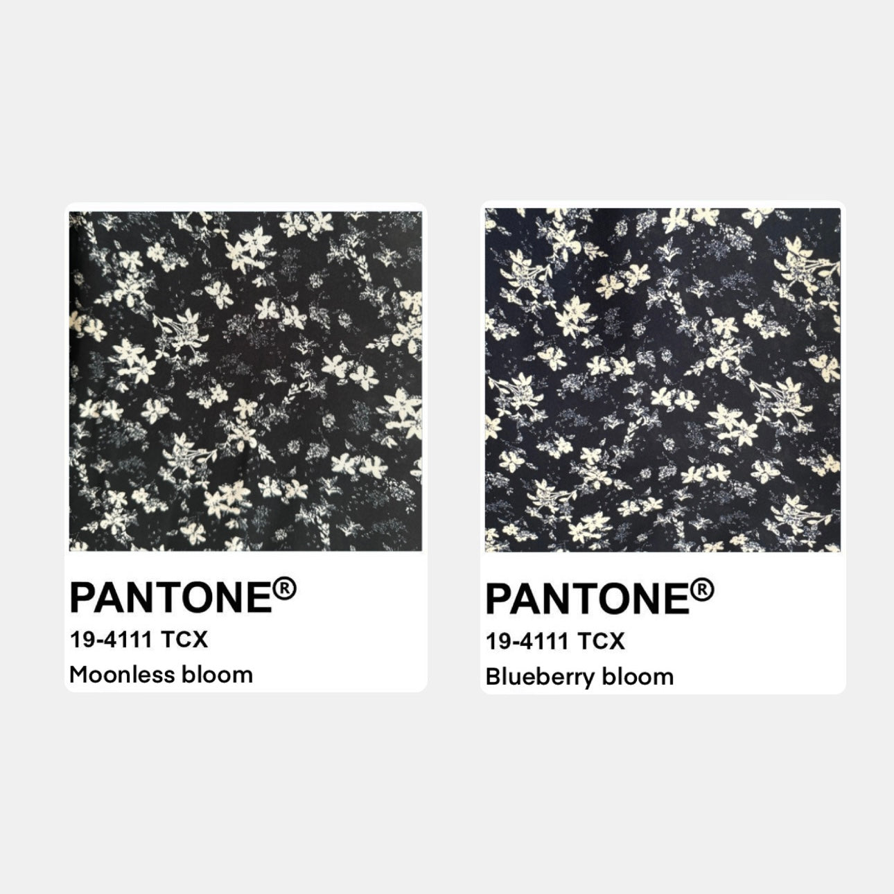 pantone moonless bloom