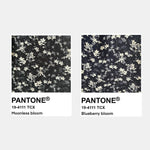pantone moonless bloom